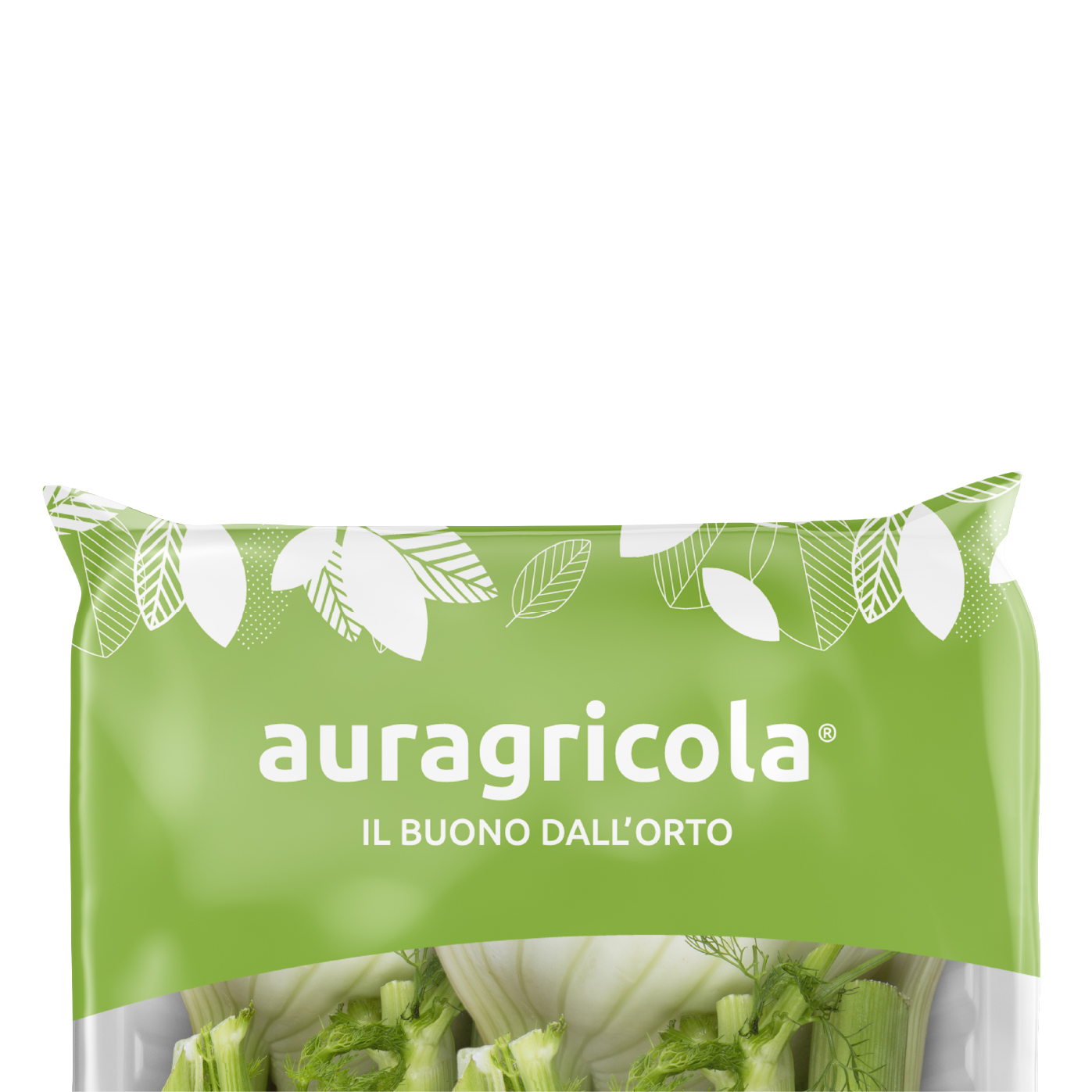 AURAGRICOLA